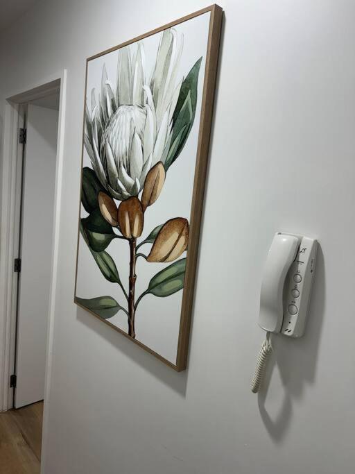 Stunning 3 Bd - 2 Bth City Apt - Pool & Carpark Όκλαντ Εξωτερικό φωτογραφία